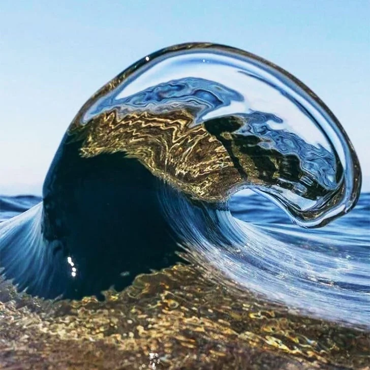 The wave of life