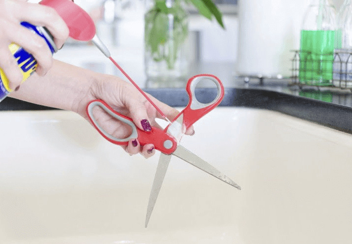 Polish Scissors With WD-40