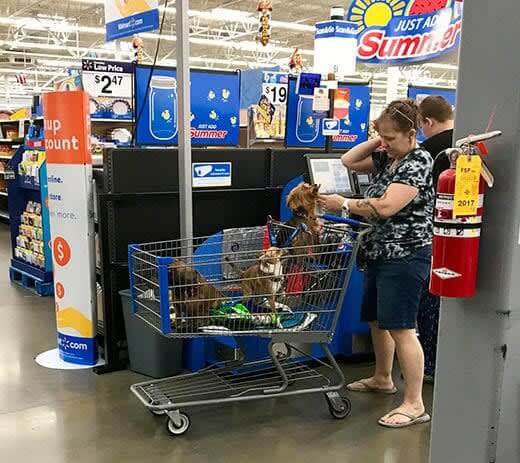 Unusual People That Could Only Be Seen At Walmart