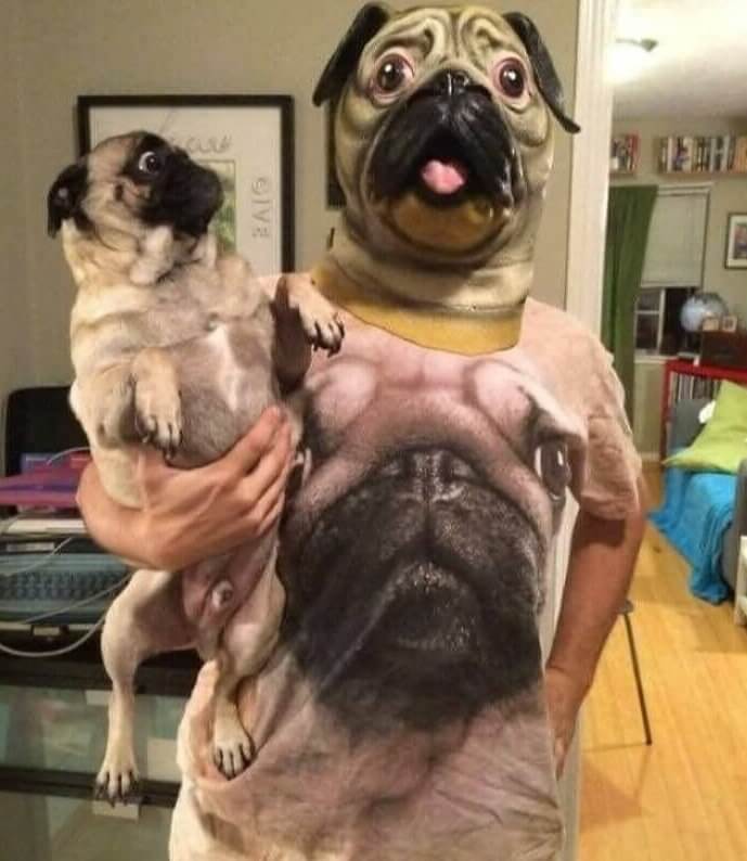 The Pug's Thinking: Mom, Is That You?!