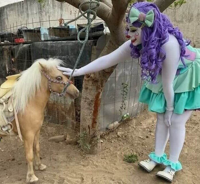 That Pony's Going to Need Some Therapy